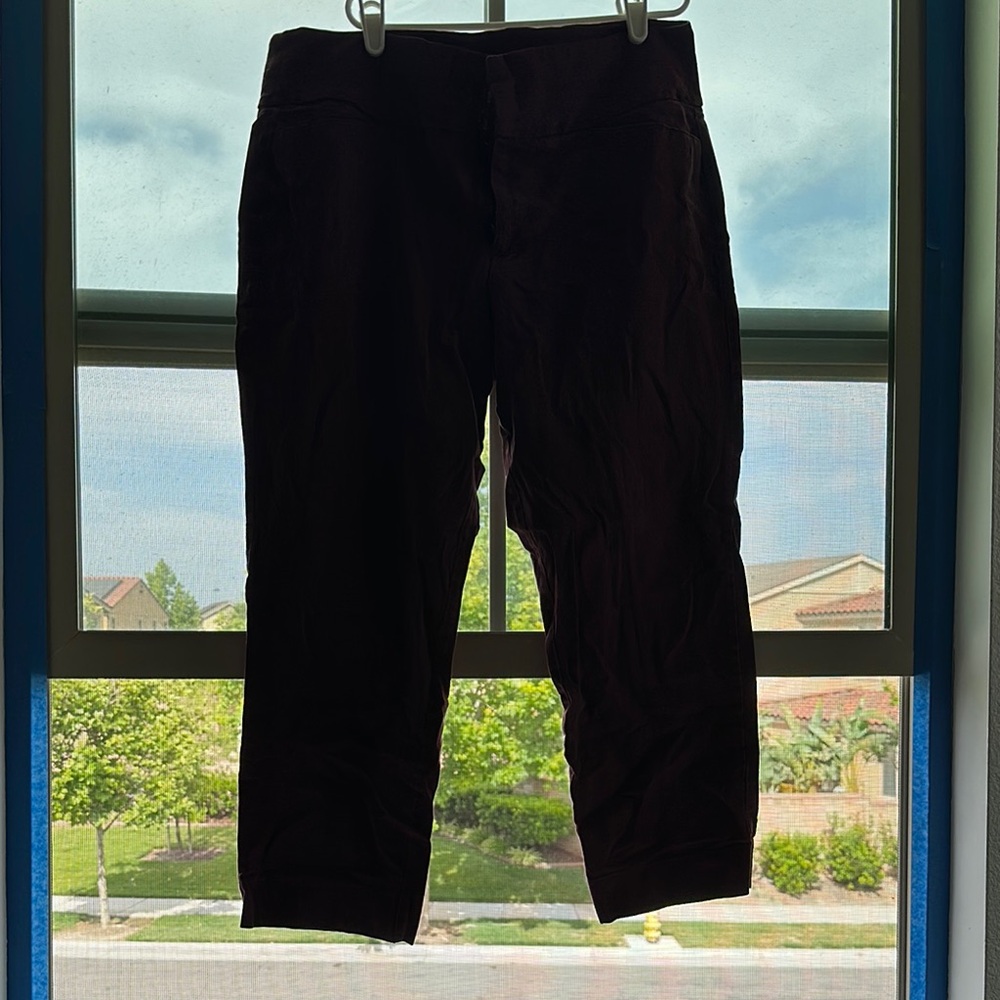 Elle Purple Ankle Cropped Pants